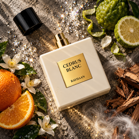 Cedrus Blanc - Eau de parfum 100ml