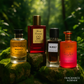 Pack Initiation -