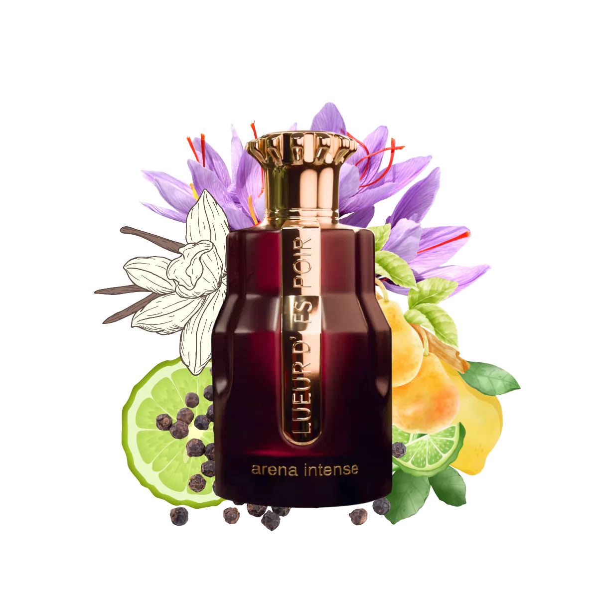 PARIS CORNER Arena Intense – Eau de Parfum Mixte 100ML