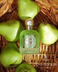 PARIS CORNER - PEAR POTION EAU DE PARFUM