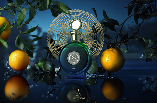 PARIS CORNER - UN I EXPRESSIONS , NORTH STAG EXTRAIT DE PARFUM