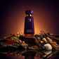 COCOA MORADO Eau de parfum 100ML - Gradient Rocks