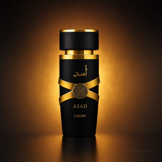 Asad Eau de Parfum 100ML - Studio Minimal