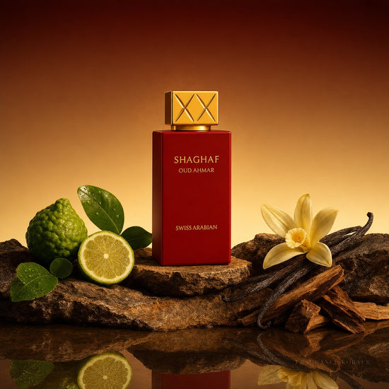 Oud Ahmar Eau de parfum 75ML - Gradient Rocks