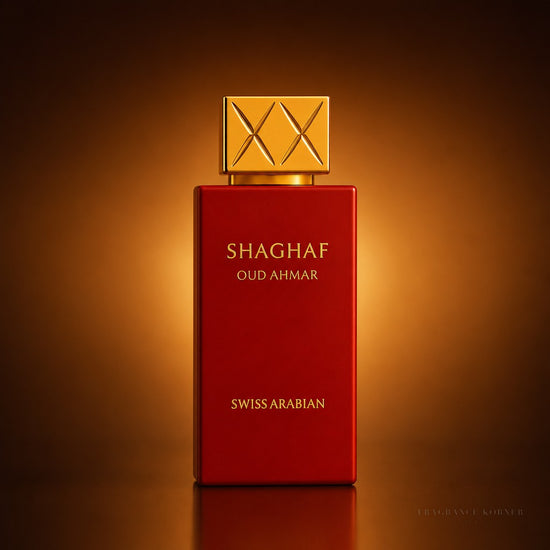 Oud Ahmar Eau de parfum 75ML - Studio Minimal