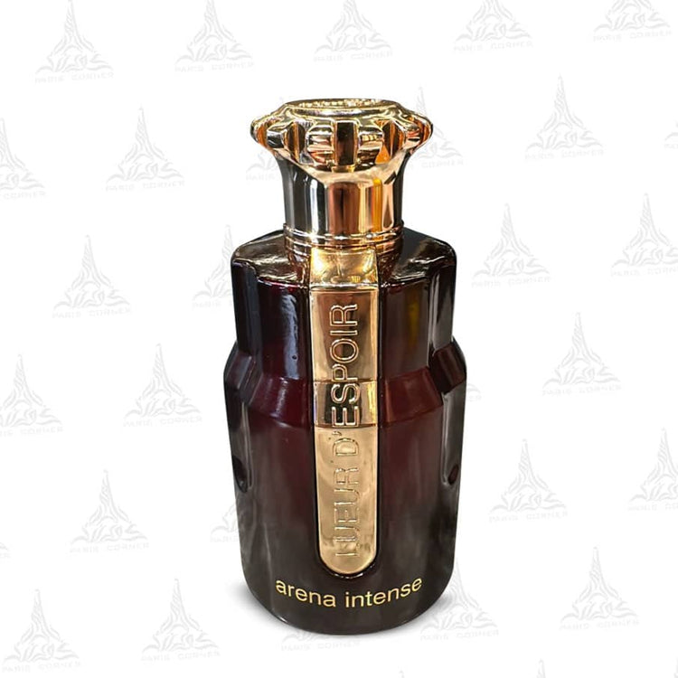 PARIS CORNER Arena Intense – Eau de Parfum Mixte 100ML