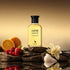 Lustré Amour - Eau de parfum 100ML - Gradient Rocks